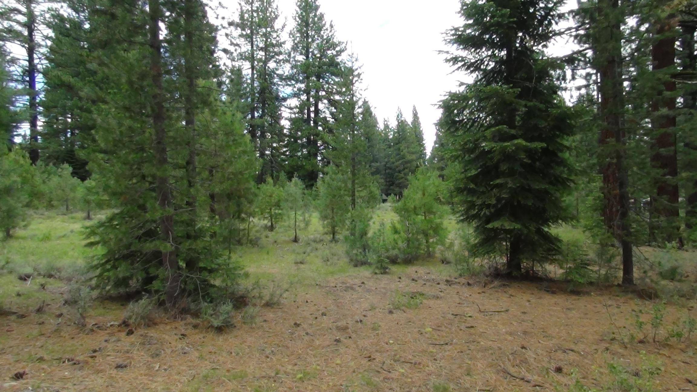 Truckee, CA 96161,10735 Dogwood