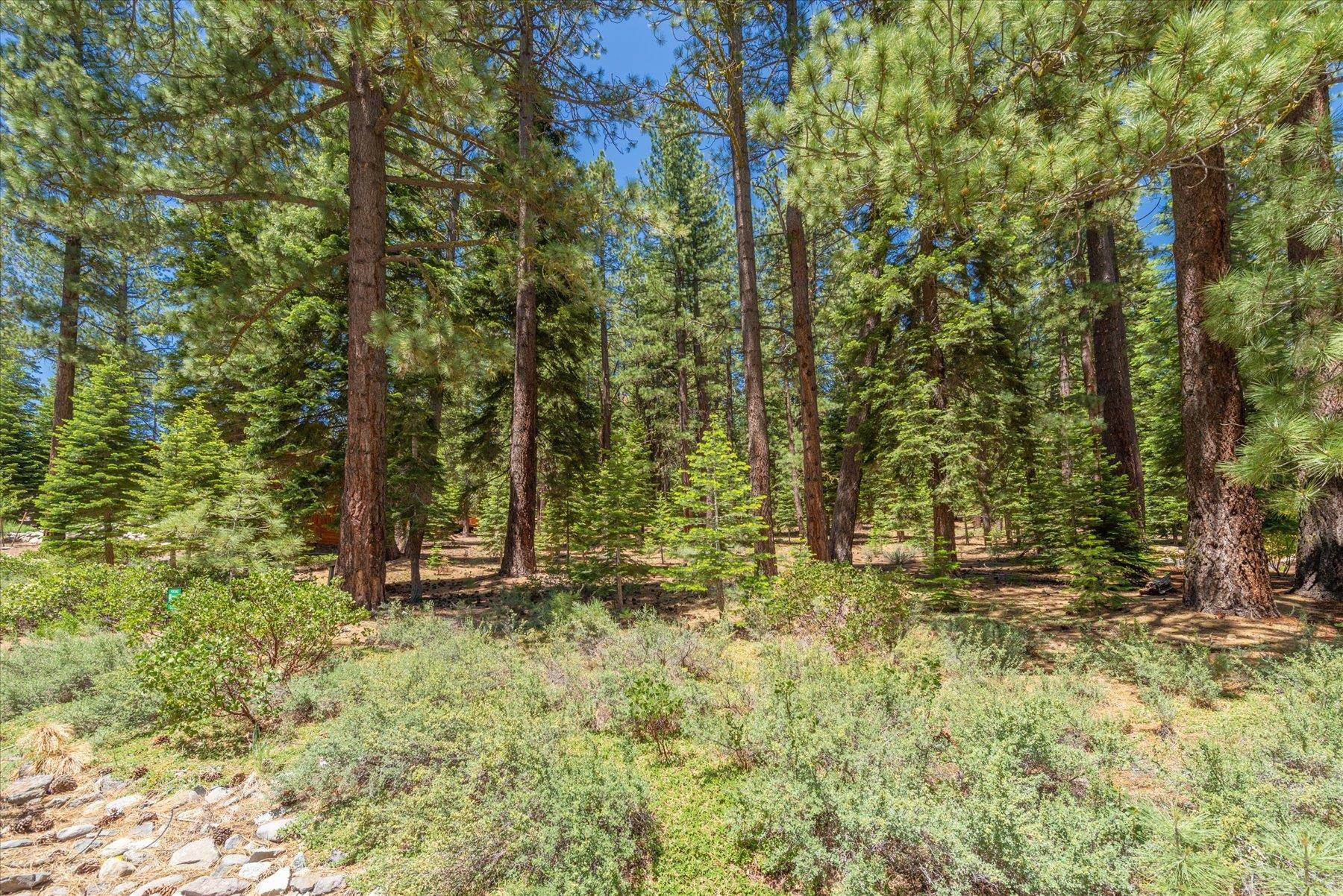 Truckee, CA 96161,11752 Saddleback Drive