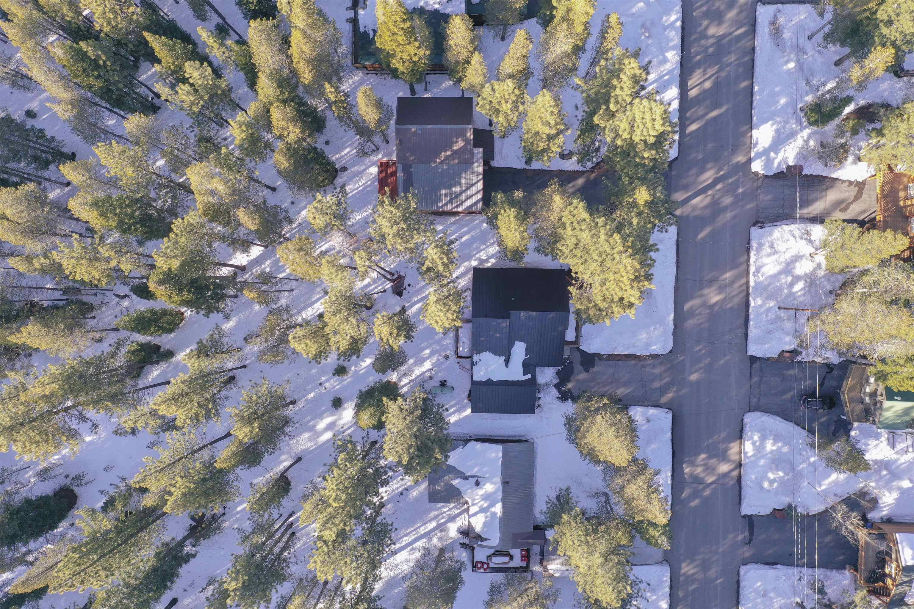 Truckee, CA 96161,11775 Oslo Drive