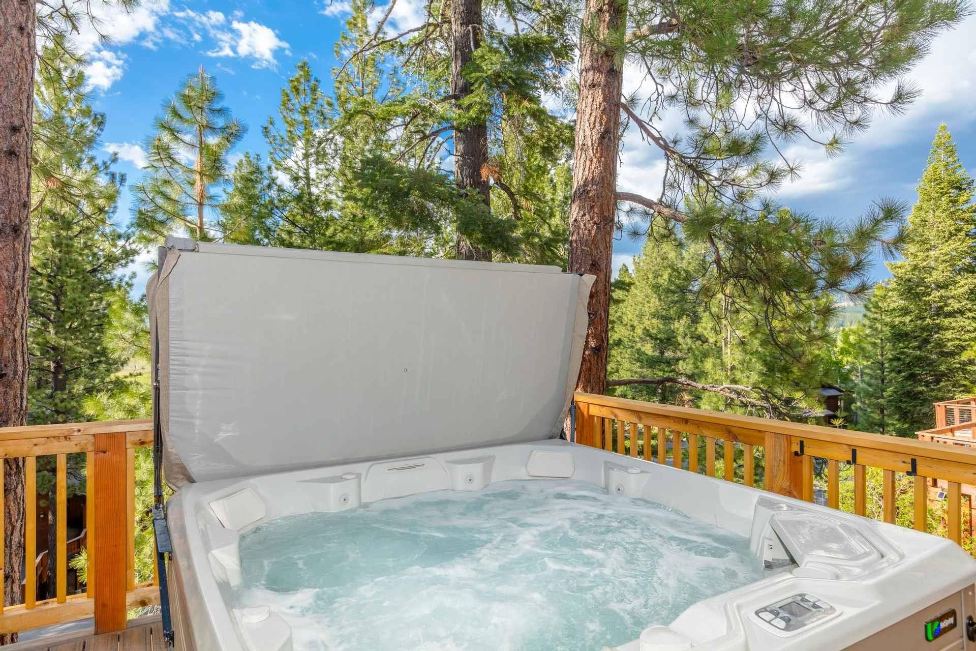 Truckee, CA 96161,237 Basque #4