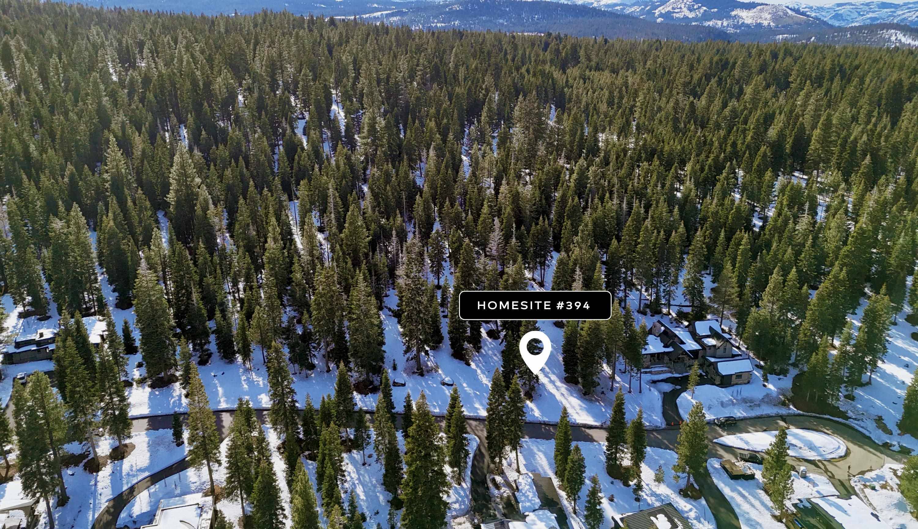 Truckee, CA 96161,9246 Brae Court