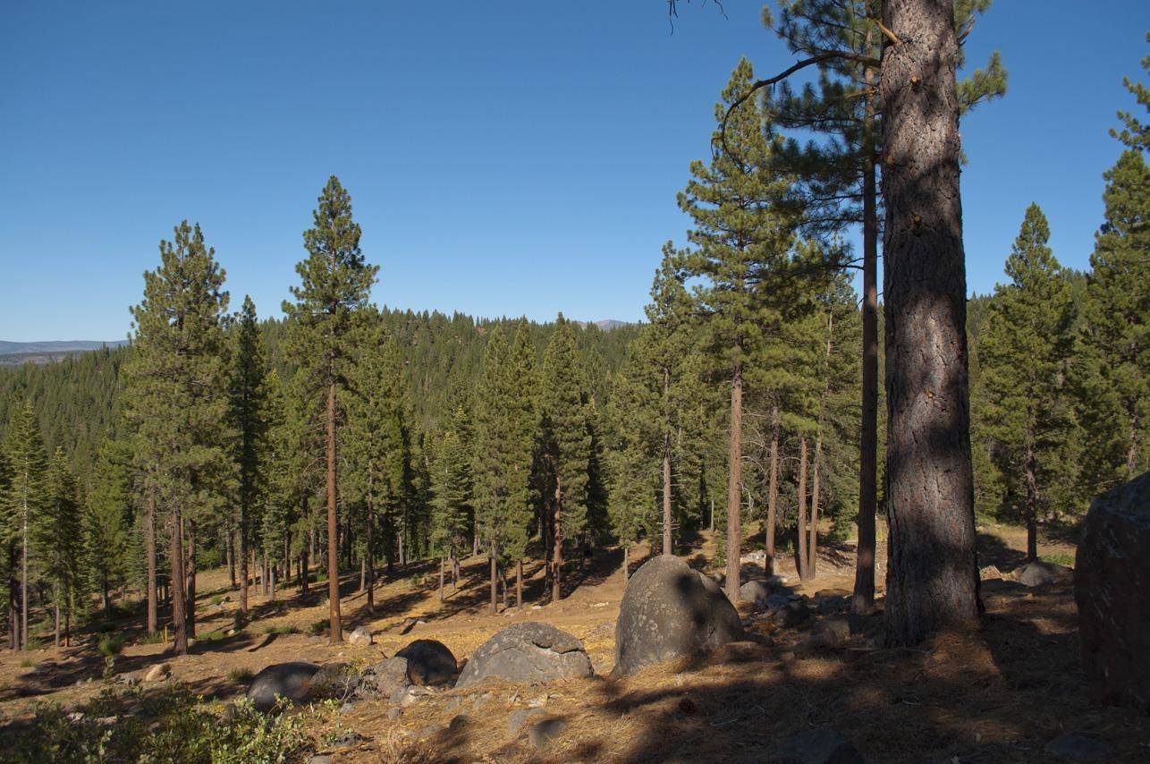 Truckee, CA 96161,2618 Elsinore Court