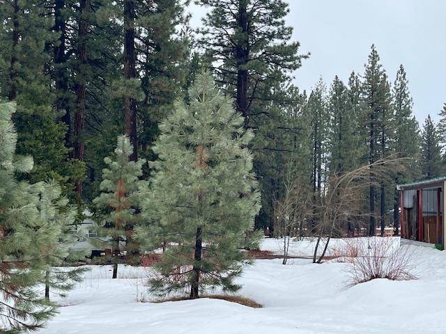 Tahoe Vista, CA 96148,Tiger Avenue
