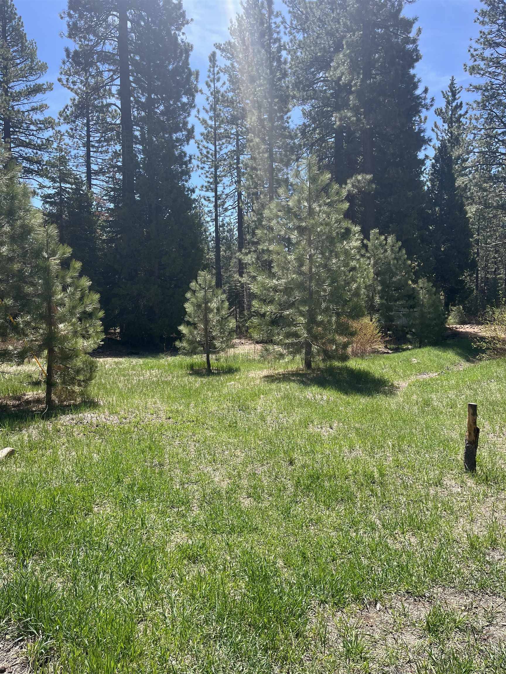 Tahoe Vista, CA 96148,Tiger Avenue