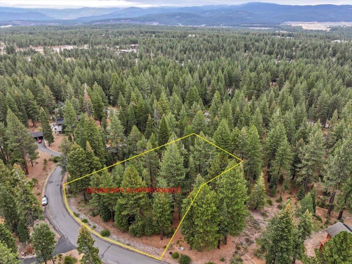 Truckee, CA 96161,11835 Saddleback Drive