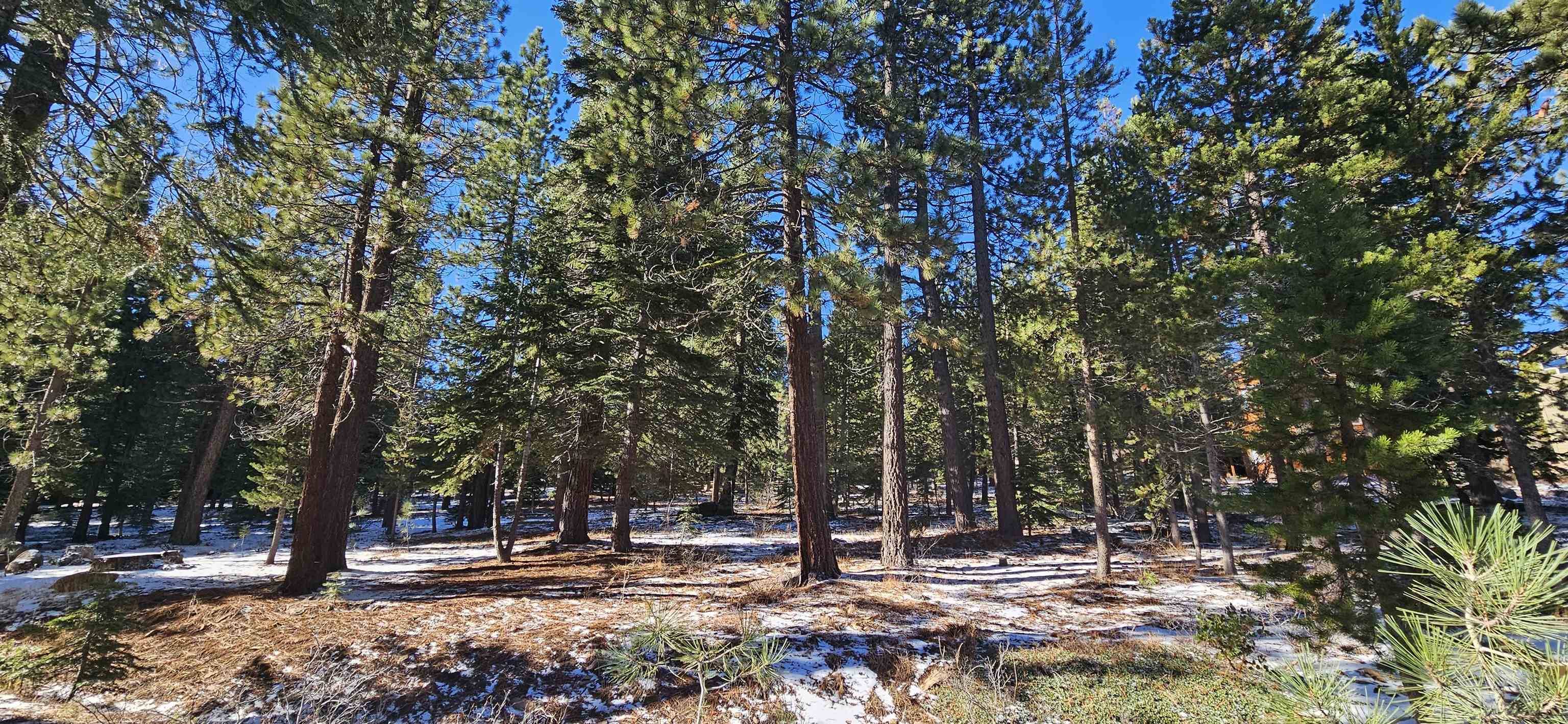Truckee, CA 96161,12996 Solvang Way