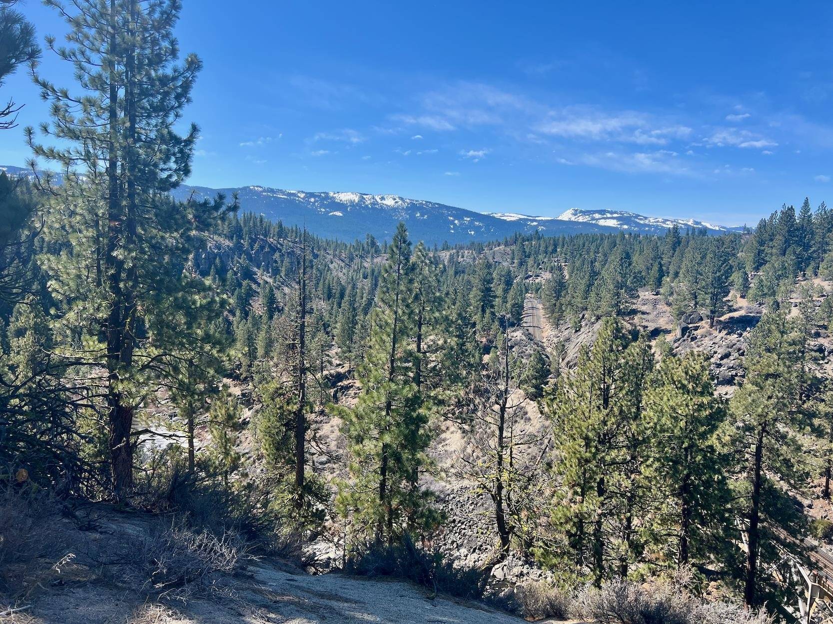 Portola, CA 96122,294 Windsong