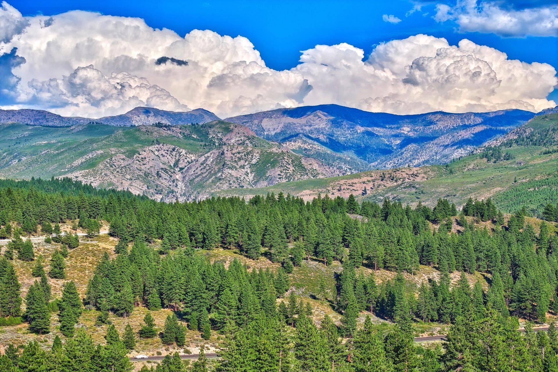 Truckee, CA 96161-0000,10310 Hirschdale Road