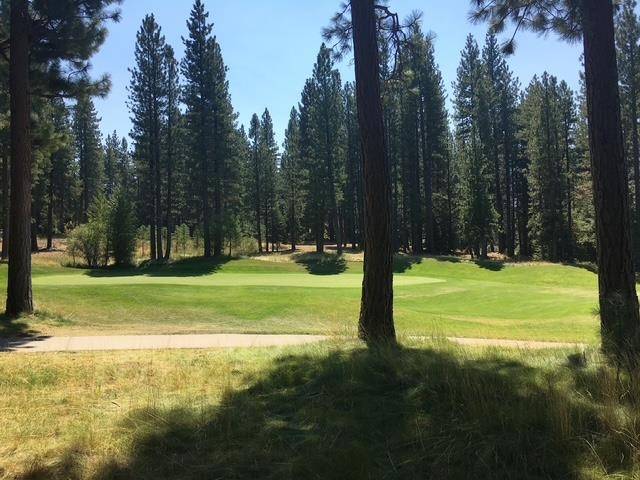 Clio, CA 96106,879 Prospector Drive