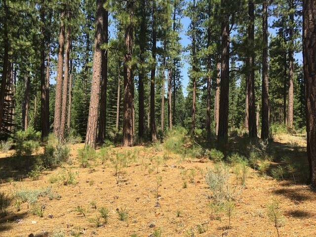 Clio, CA 96106,879 Prospector Drive