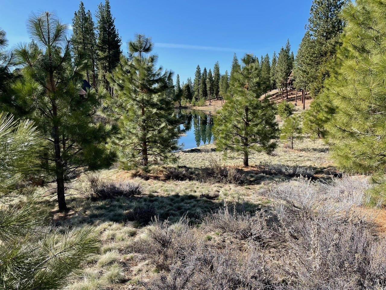 Portola, CA 96122,328 Blacktail Ridge