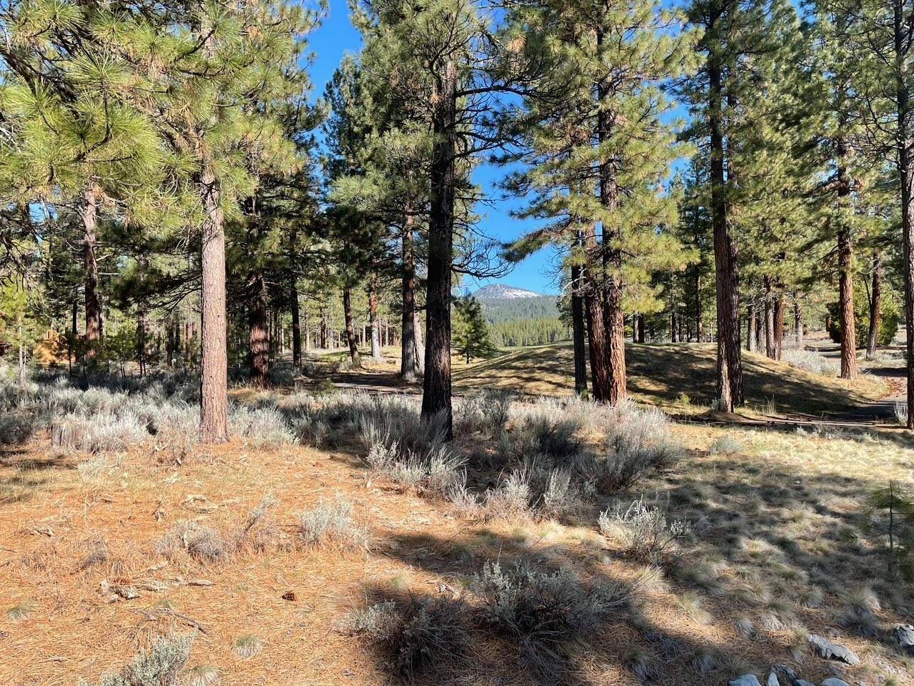 Portola, CA 96122,16 Big Grizzly Road
