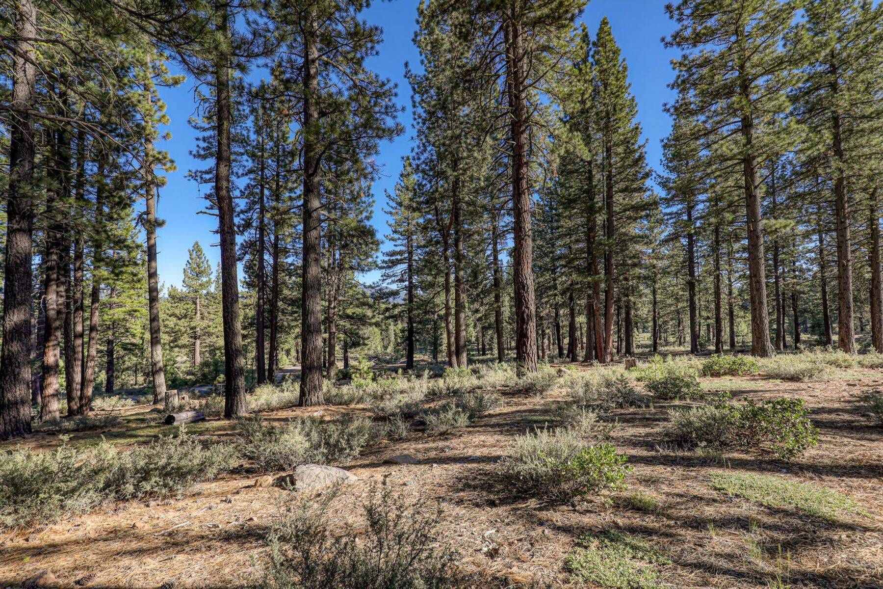 Truckee, CA 96161-1330,10576 Brickell Court