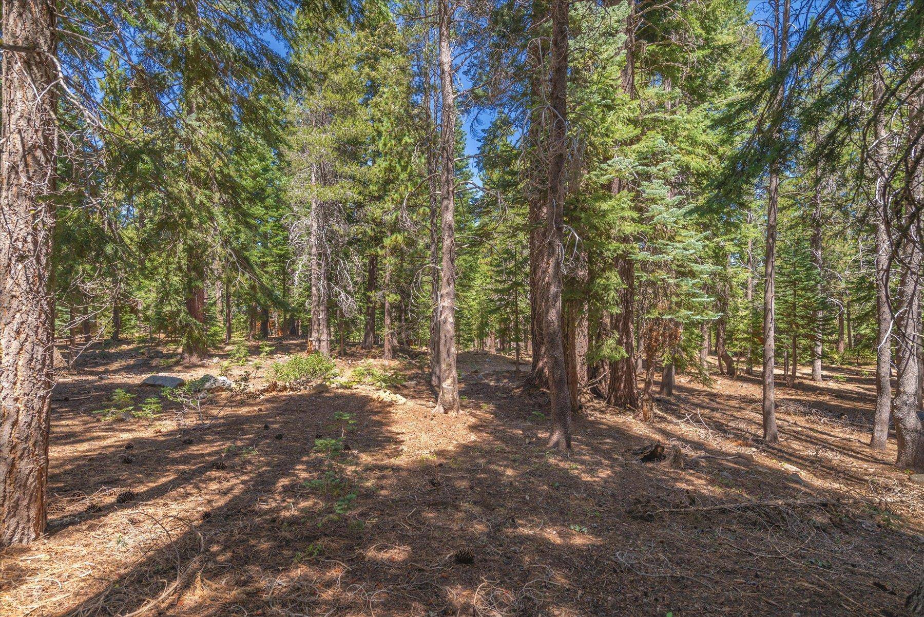 Truckee, CA 96161,14590 Copenhagen Drive