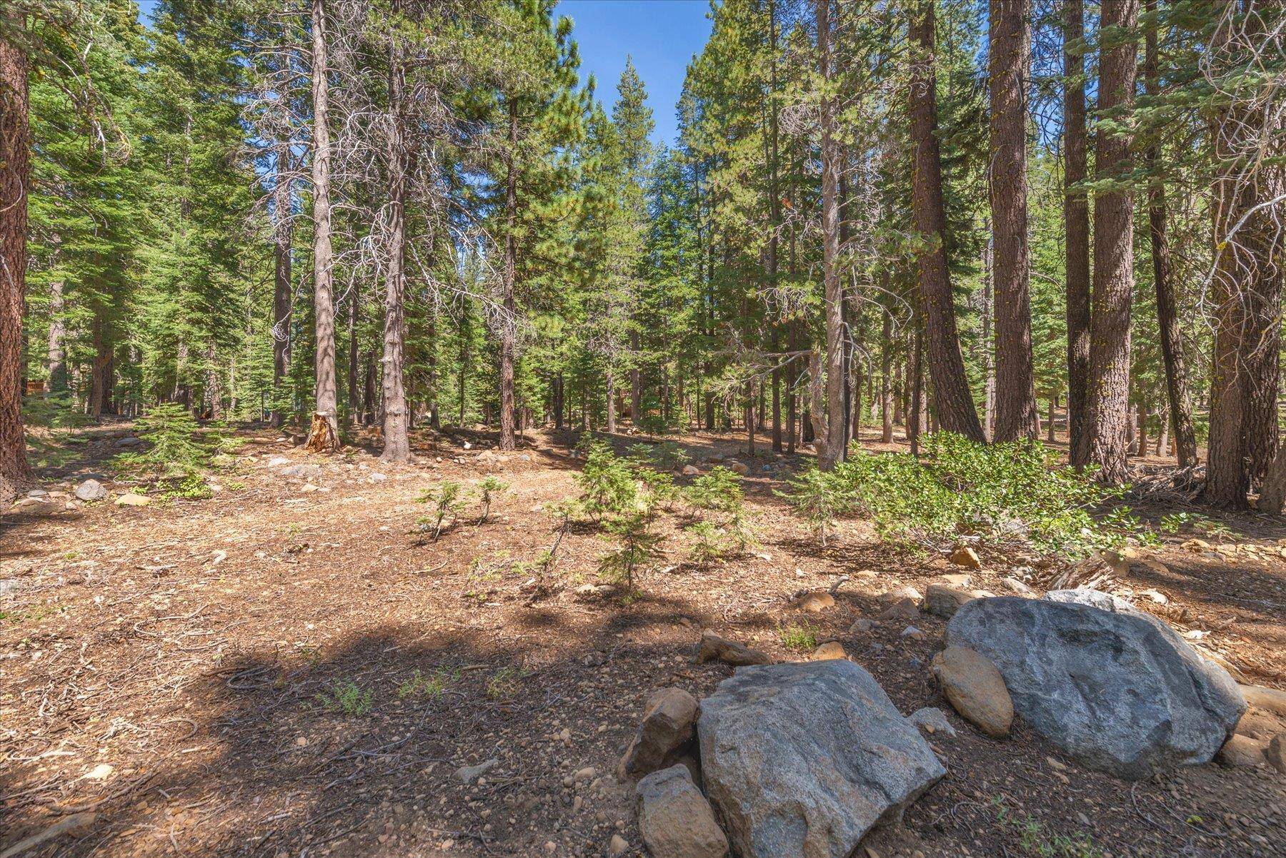 Truckee, CA 96161,14590 Copenhagen Drive