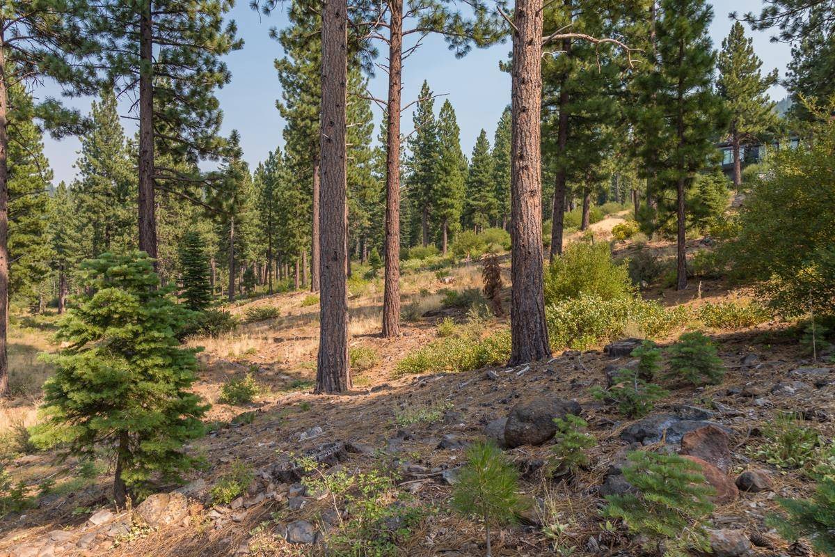 Truckee, CA 96161,2412 Newhall Court