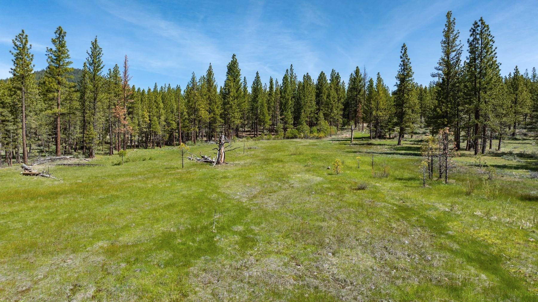 Portola, CA 96122,Parcel 1 Highway 70