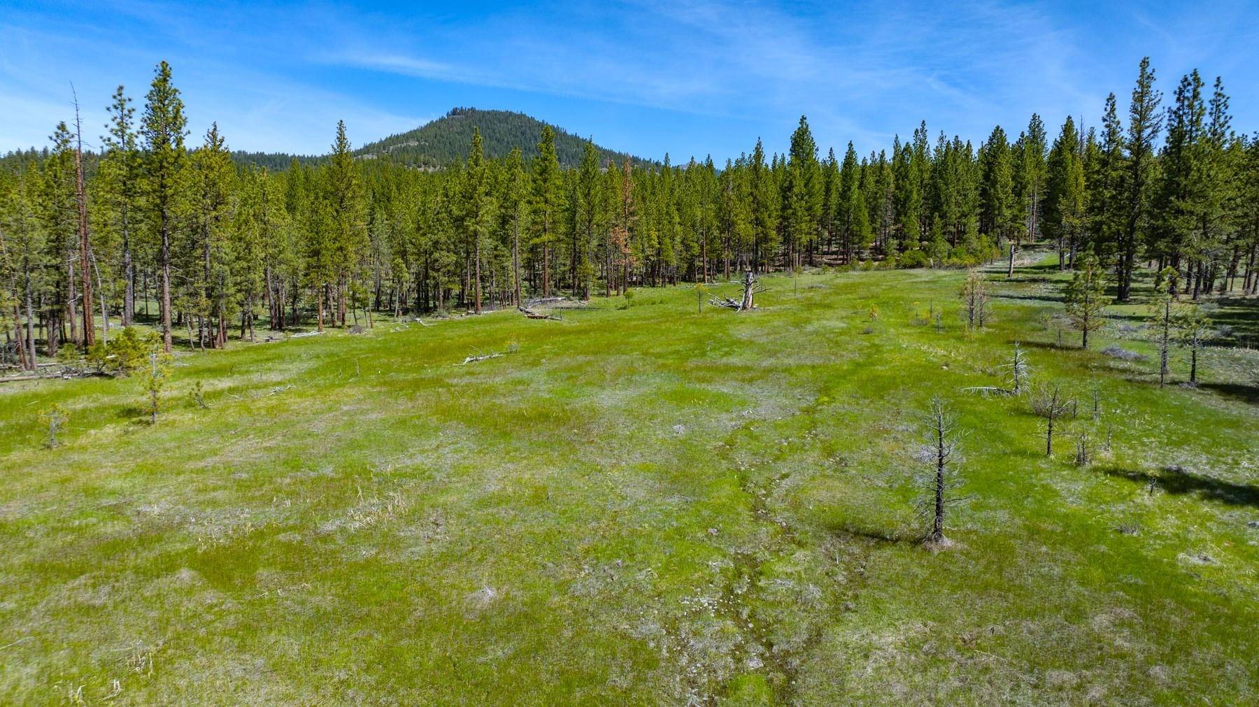 Portola, CA 96122,Parcel 1 Highway 70