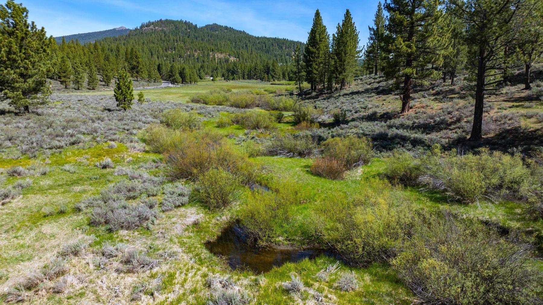 Portola, CA 96122,1380 Wolf Meadows Lane