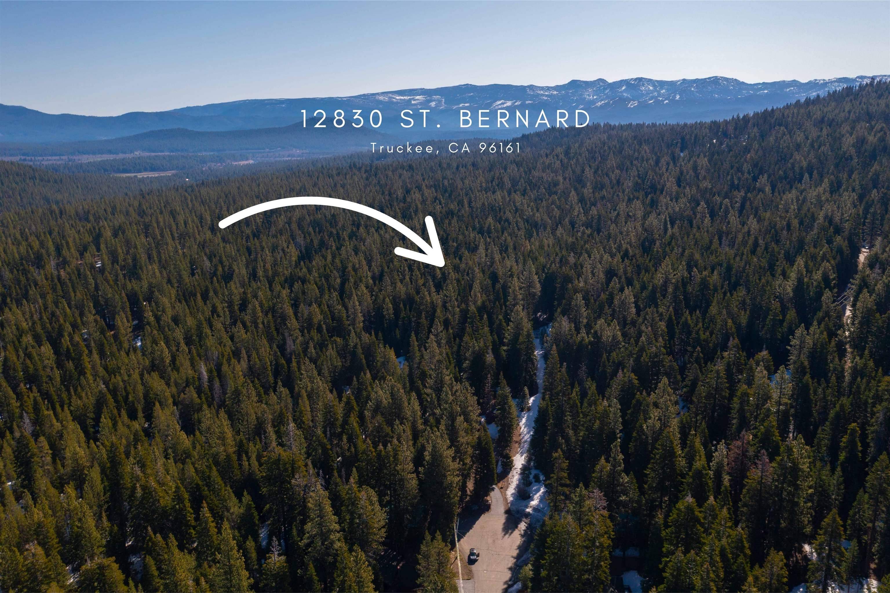Truckee, CA 96161,12830 Saint Bernard Drive