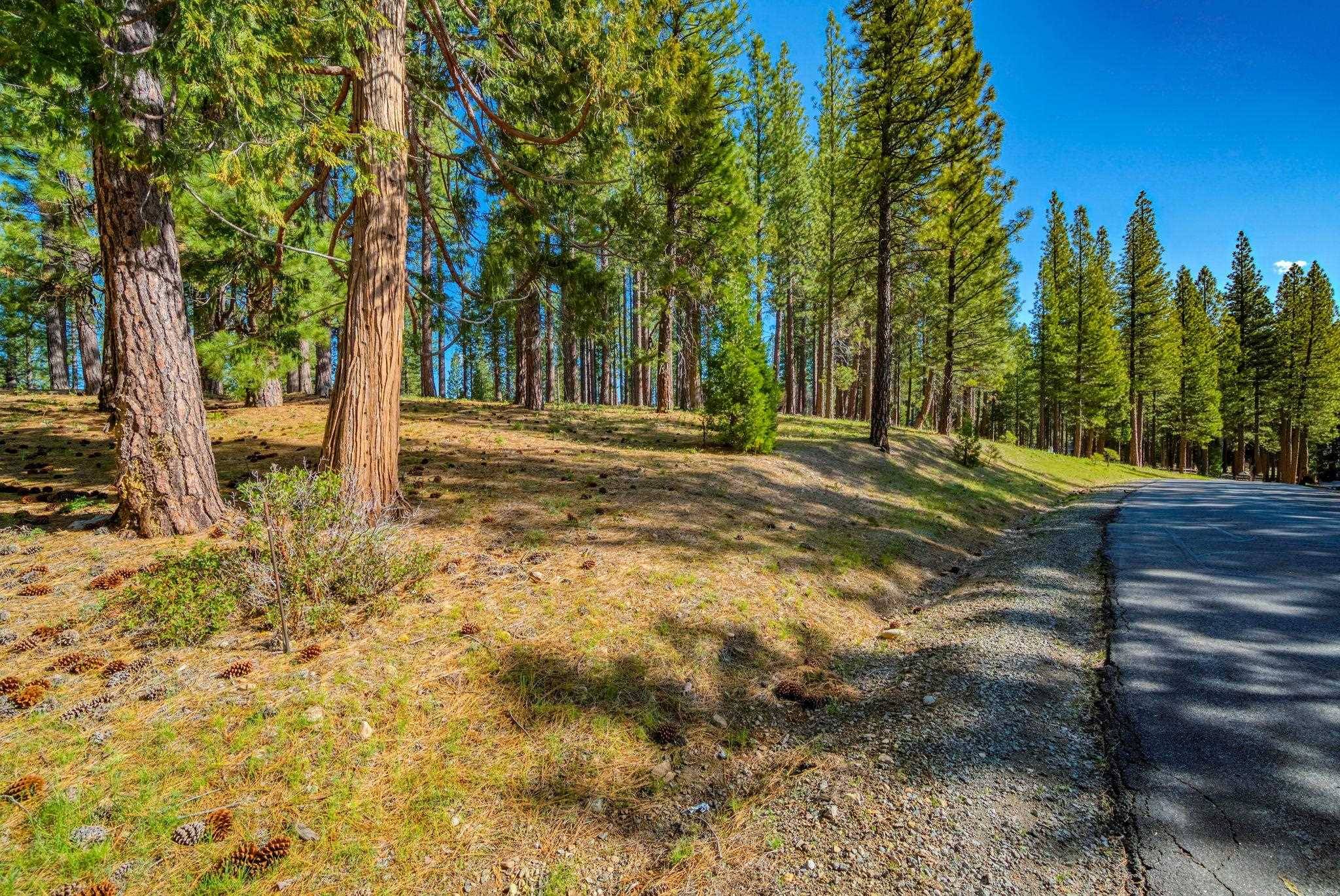 Clio, CA 96106,266 Boulder Drive