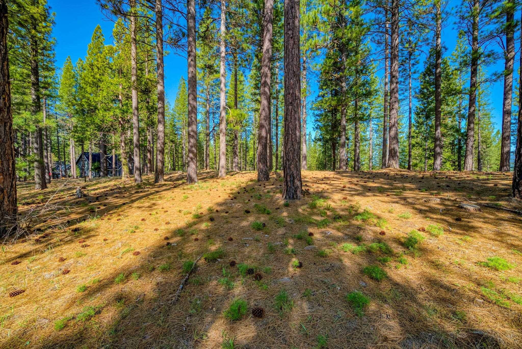 Clio, CA 96106,266 Boulder Drive