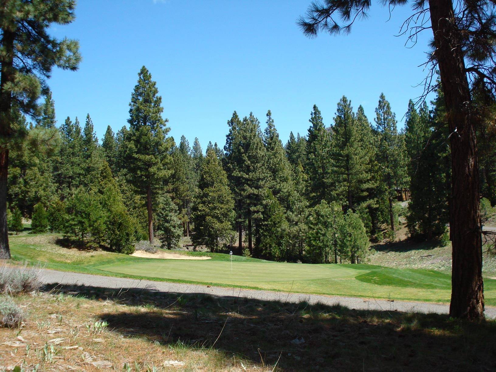 Portola, CA 96122,360 Big Grizzly Road