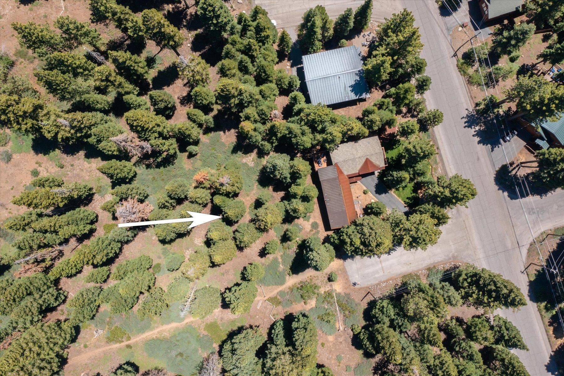 Tahoe City, CA 96145-0000,1940 Silver Tip Drive
