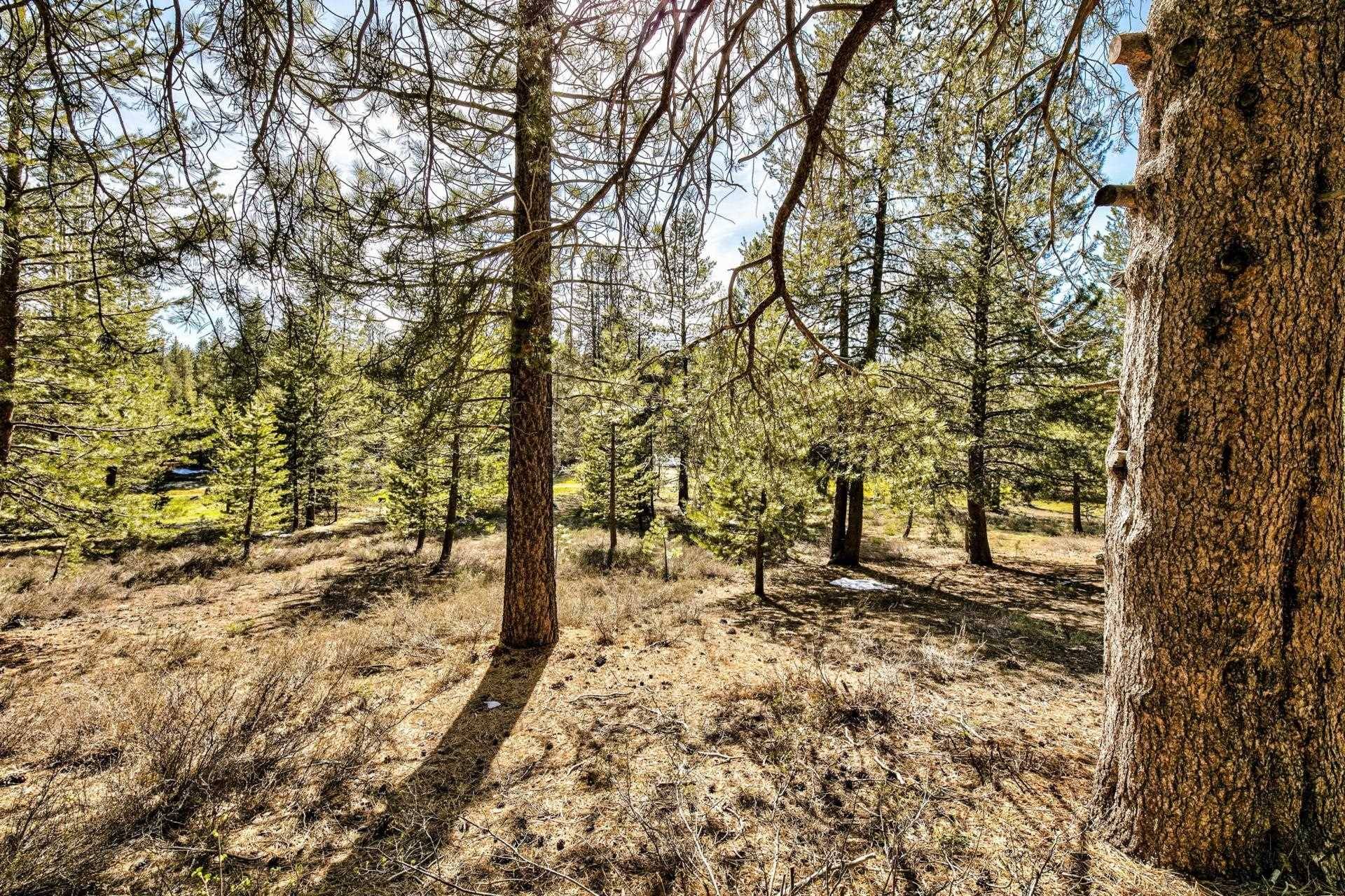 Truckee, CA 96161-6017,11224 Bennett Flat Road