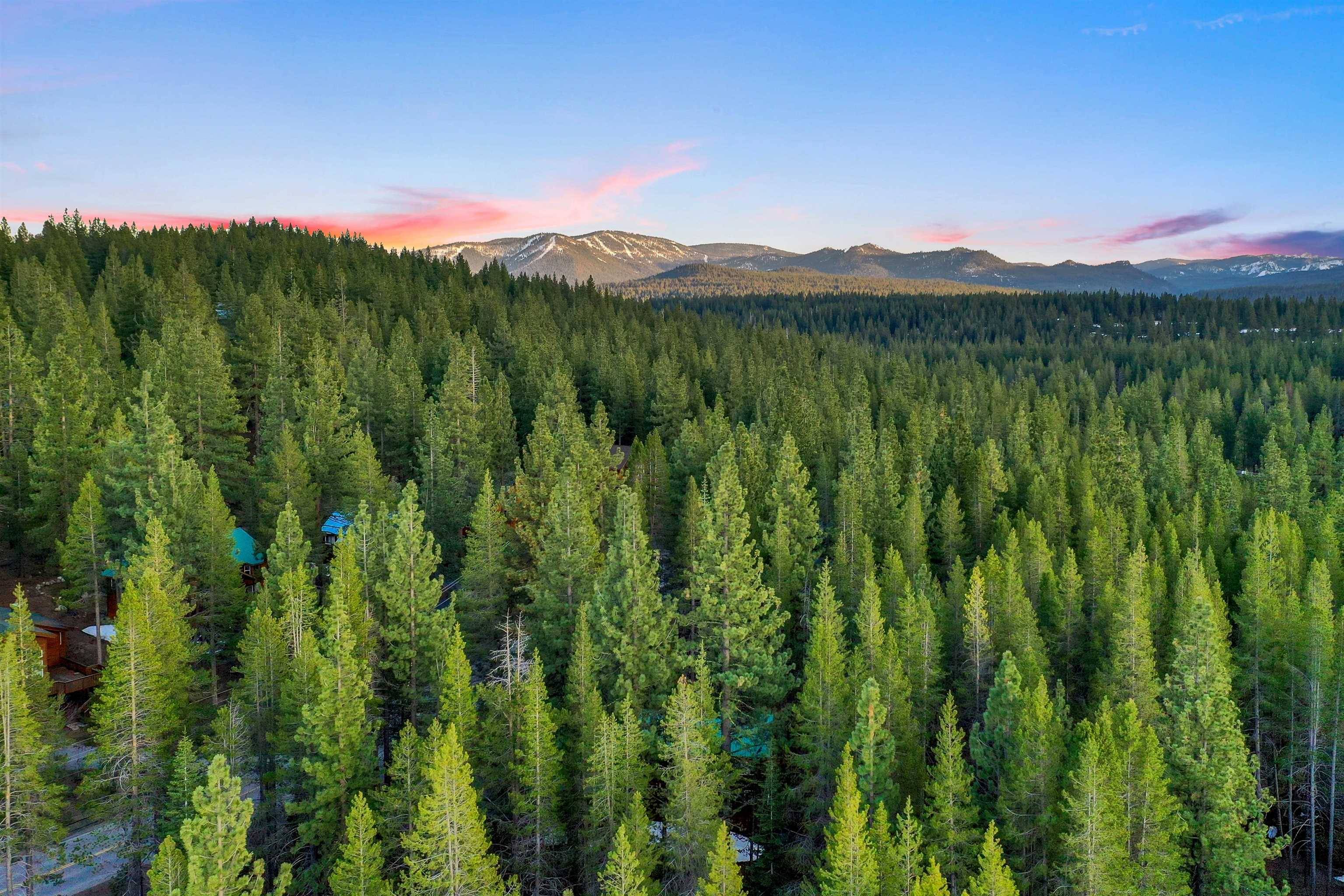 Truckee, CA 96161-6011,11510 Lausanne Way