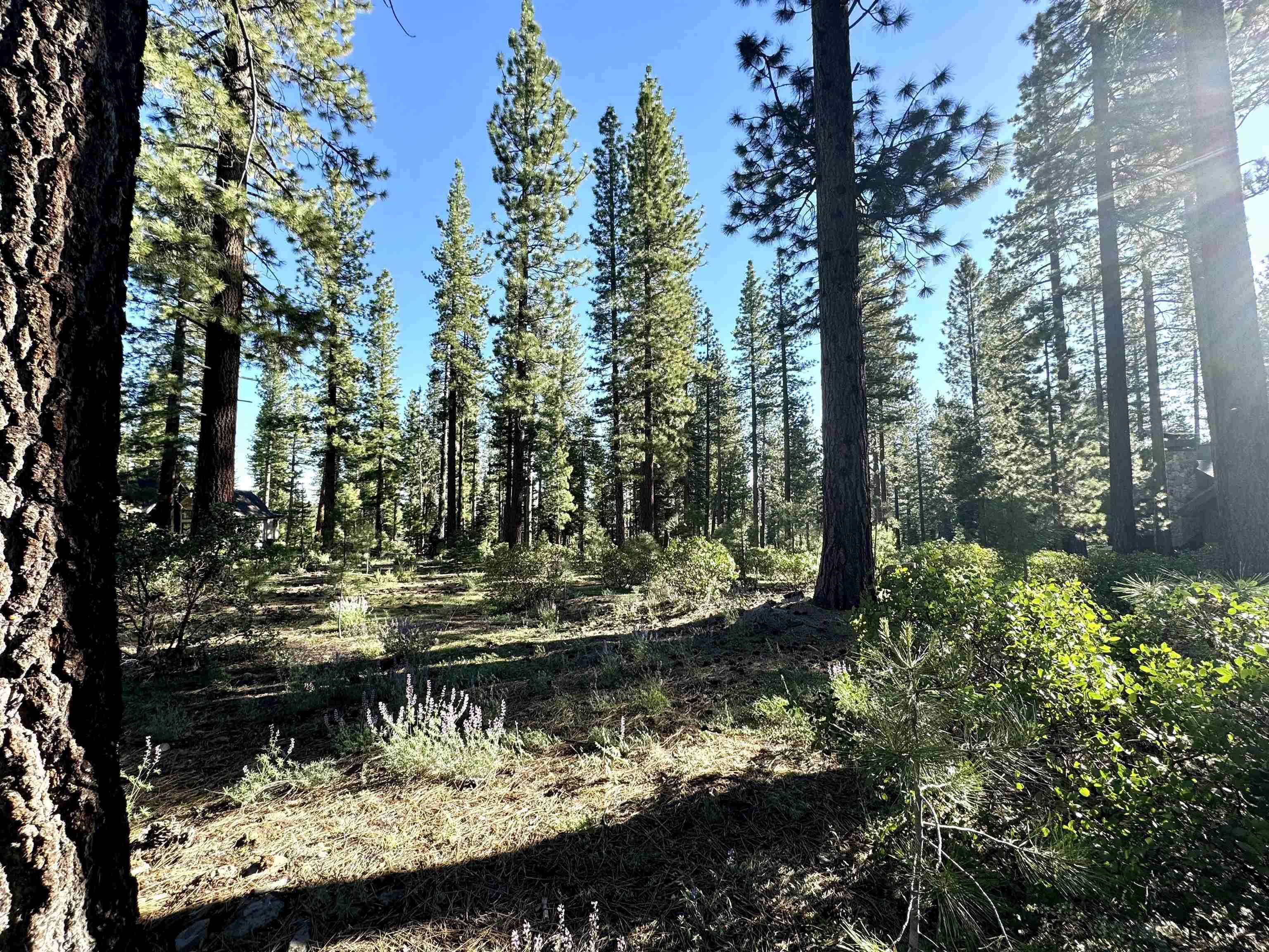 Truckee, CA 96161,12337 Garwood Dean