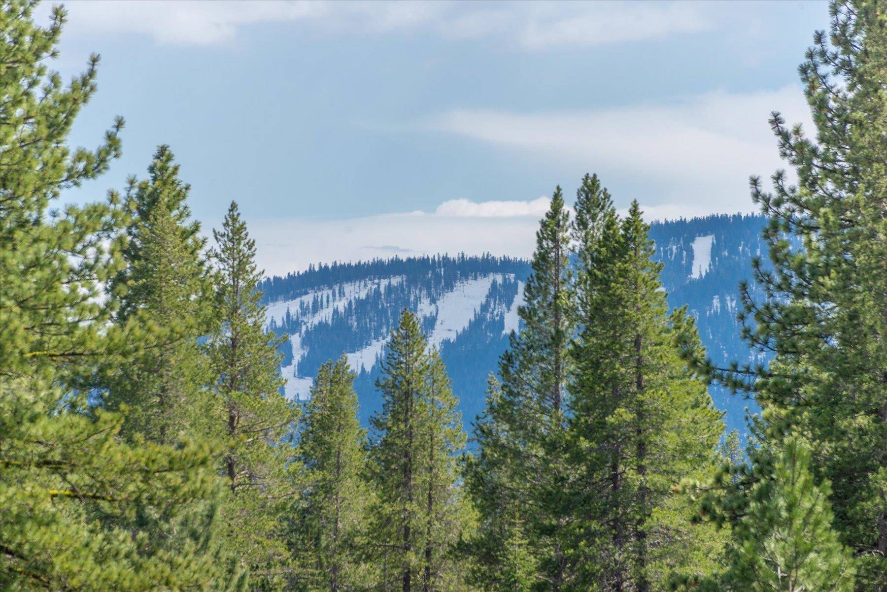 Truckee, CA 96161,11690 Bottcher Loop
