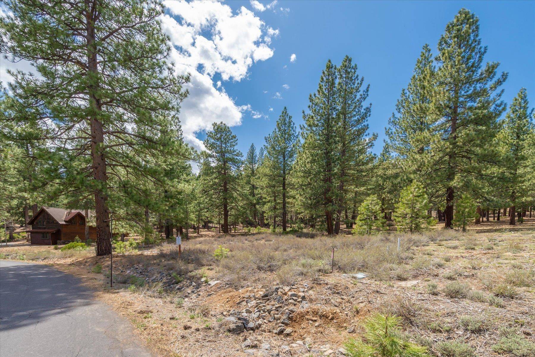 Truckee, CA 96161,11690 Bottcher Loop