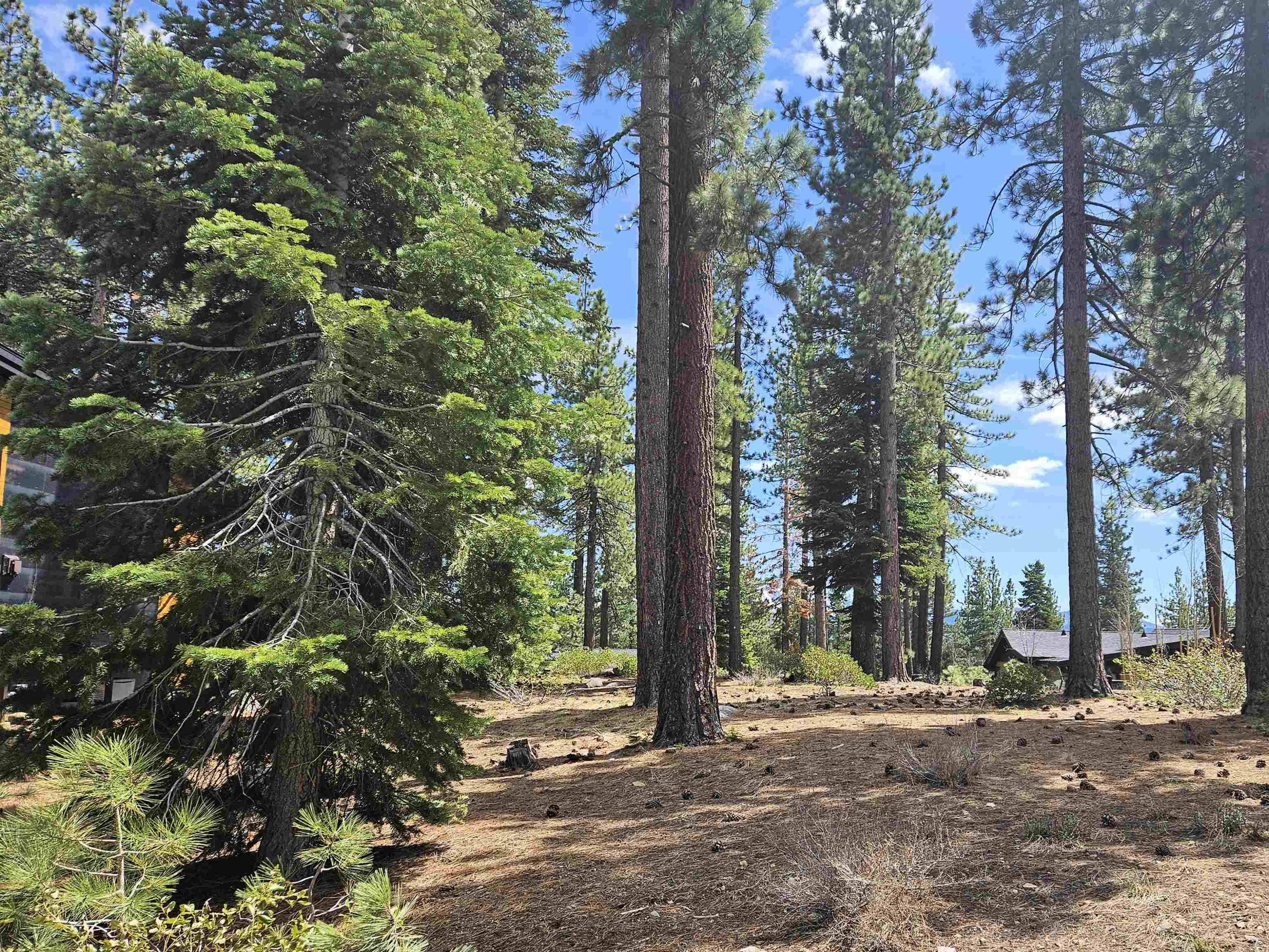 Truckee, CA 96161,10841 Passage Place