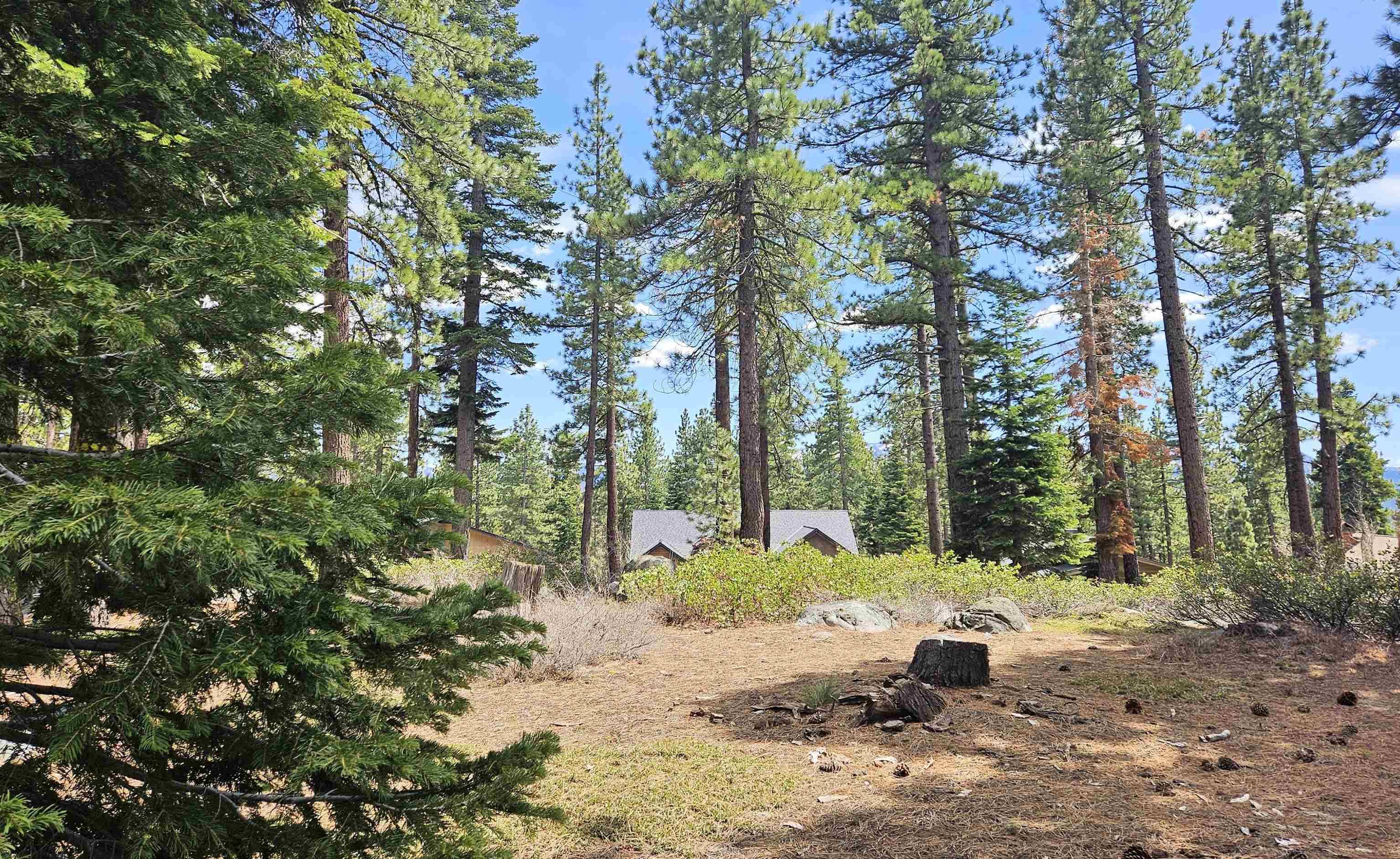 Truckee, CA 96161,10841 Passage Place