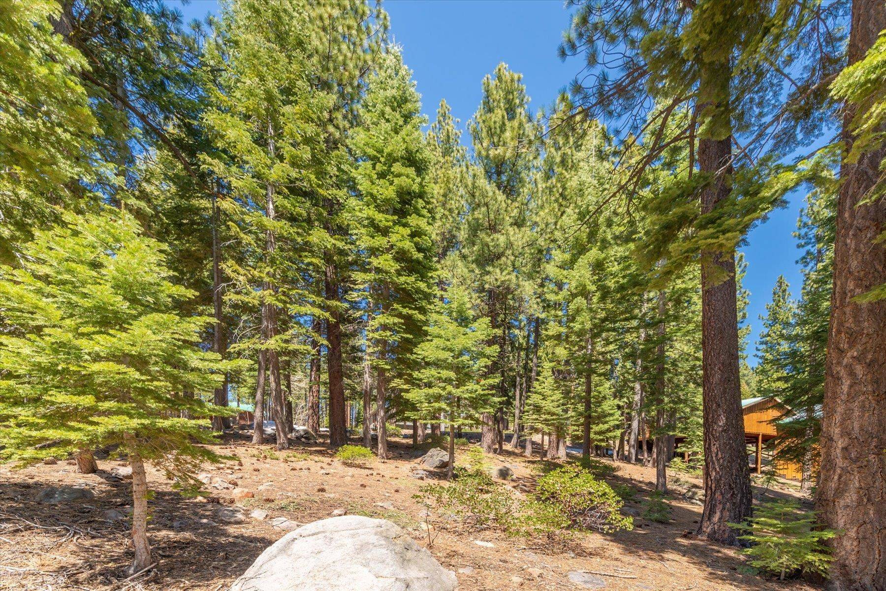 Truckee, CA 96161,12972 Muhlebach Way
