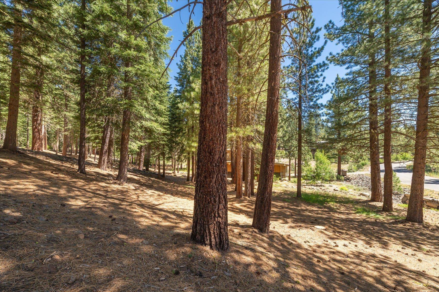 Truckee, CA 96161,11274 China Camp Road