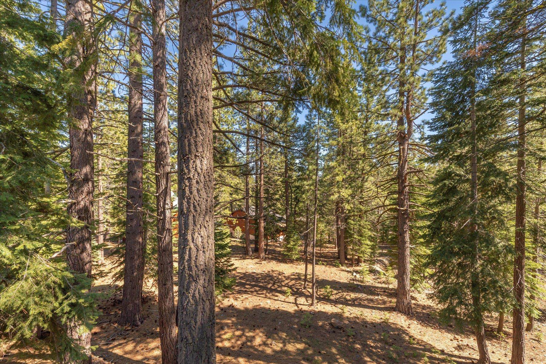 Truckee, CA 96161,12539 Lausanne Way