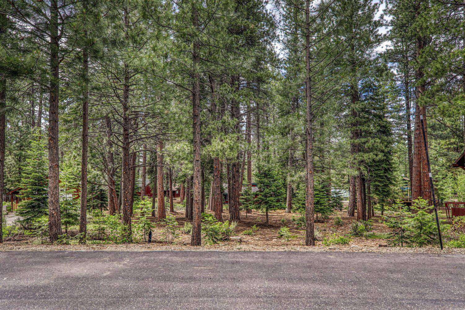 Truckee, CA 96161,14557 Donnington Lane