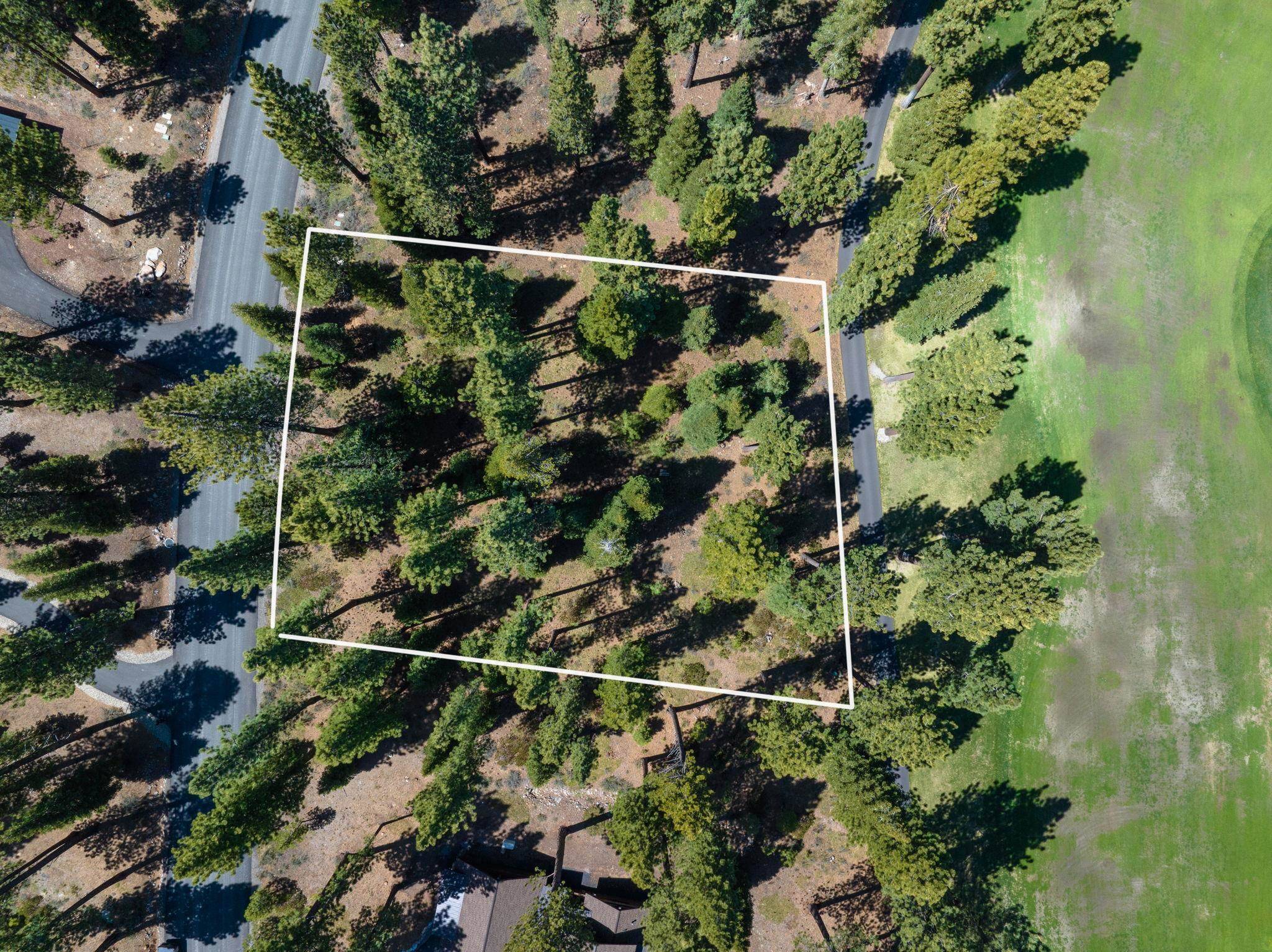 Truckee, CA 96161-5138,12233 Pete Alvertson Drive