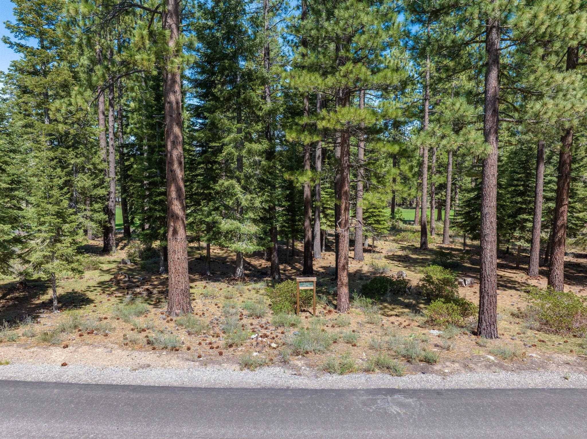 Truckee, CA 96161-5138,12233 Pete Alvertson Drive