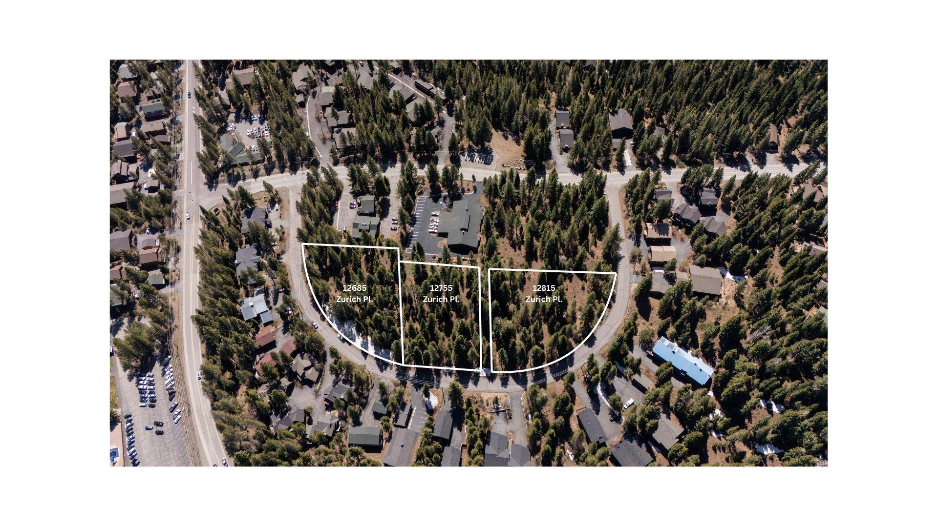Truckee, CA 96161,12755 Zurich Place