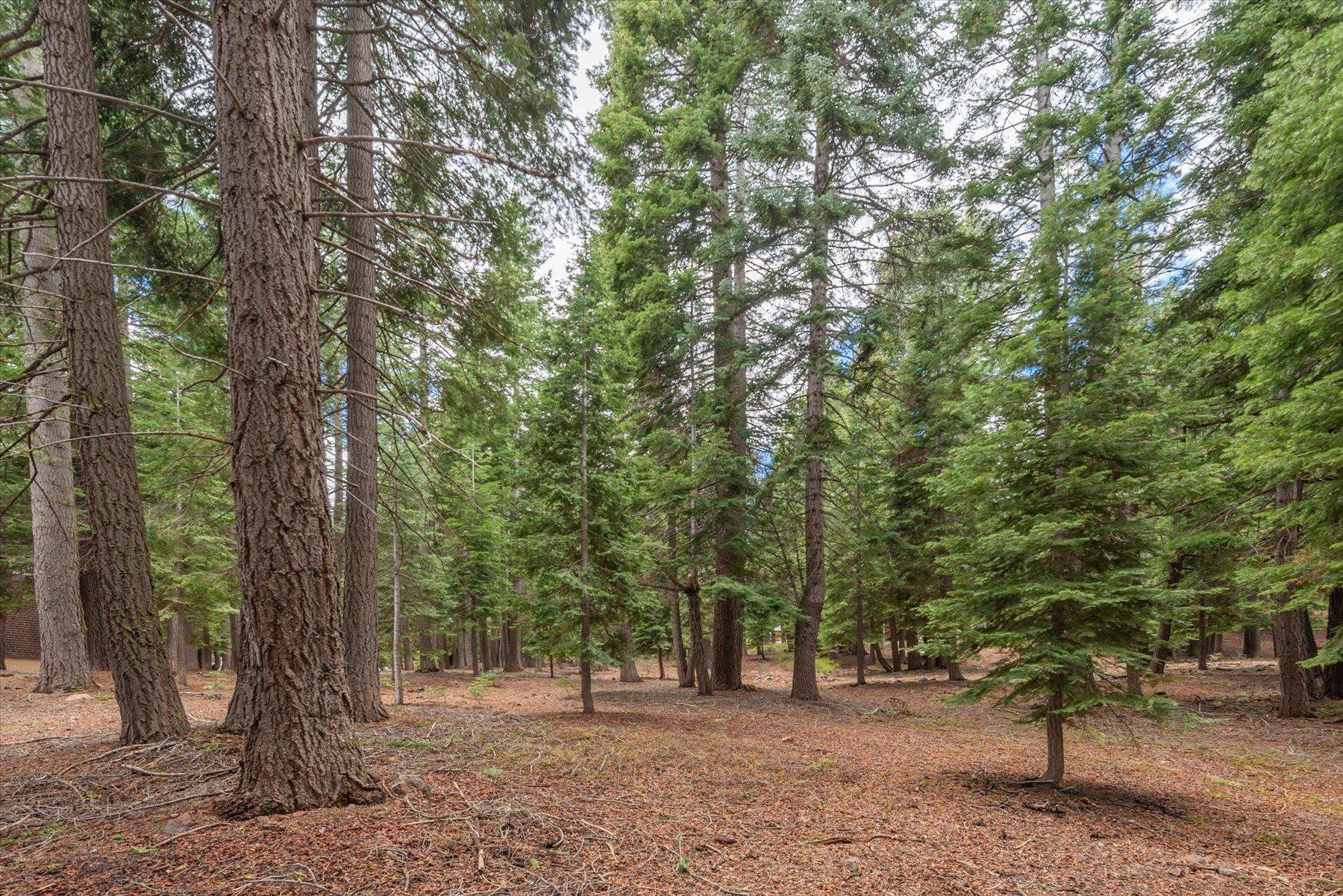 Truckee, CA 96161,10986 Innsbruck Avenue