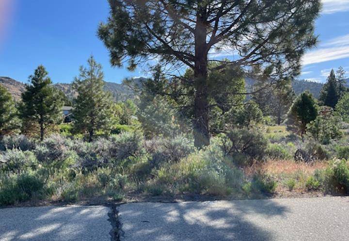Loyalton, CA 96118,556 Longhorn Drive