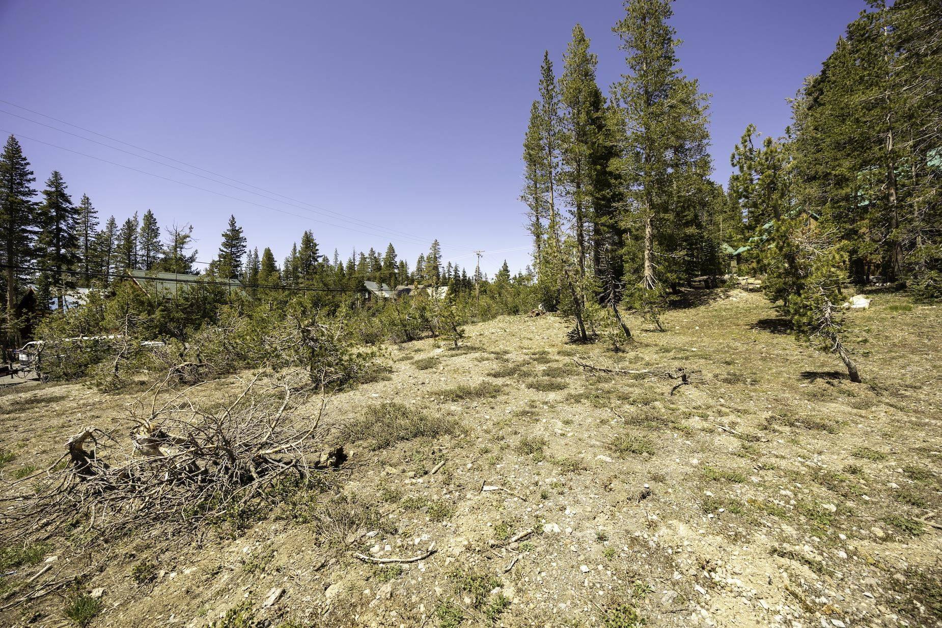 Soda Springs, CA 95728,6784 Soda Springs Road