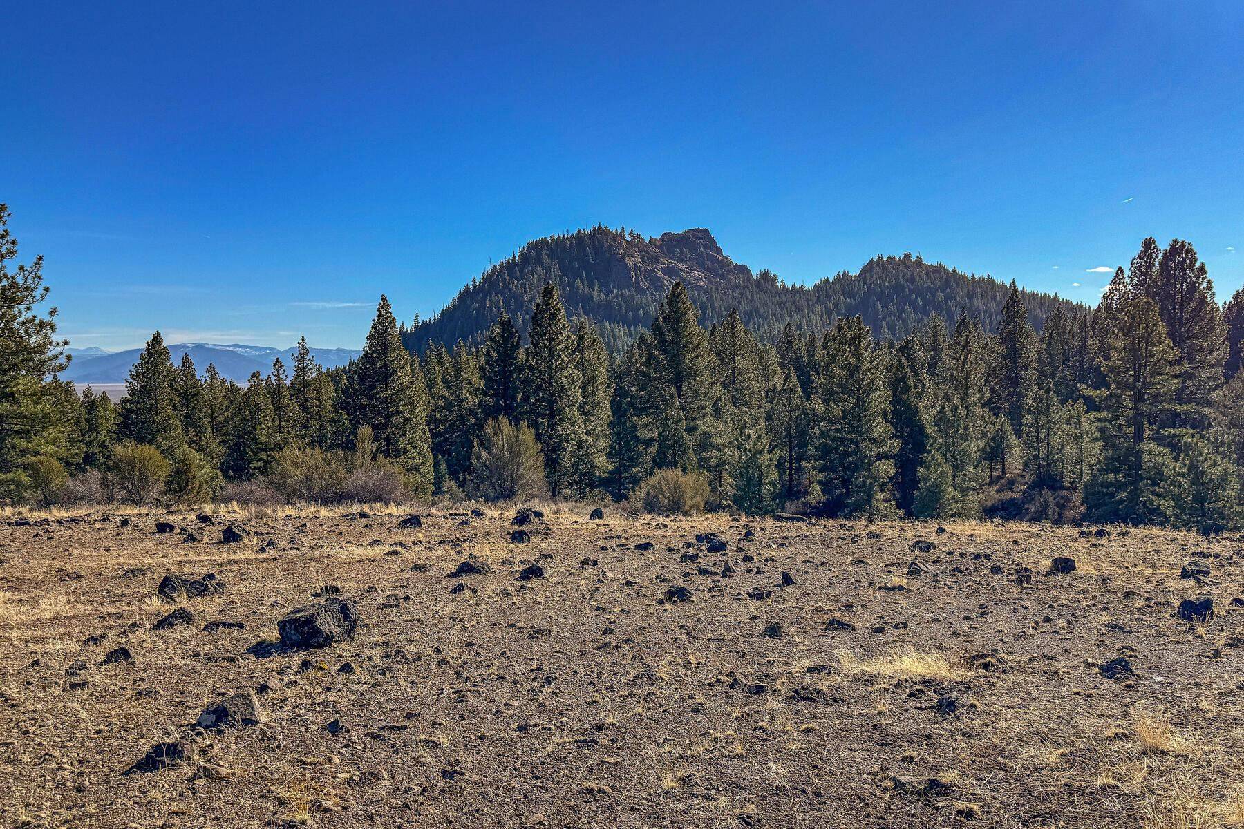 Beckwourth, CA 96129,3000 22N03