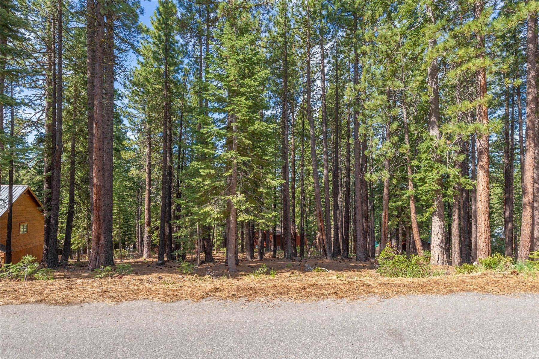 Truckee, CA 96161-6465,13038 Muhlebach Way