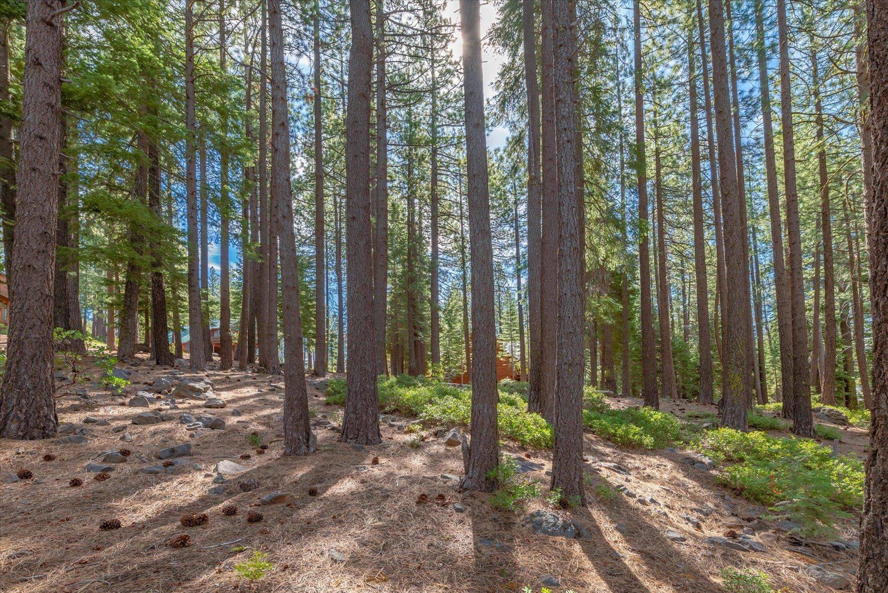 Truckee, CA 96161-6465,13038 Muhlebach Way