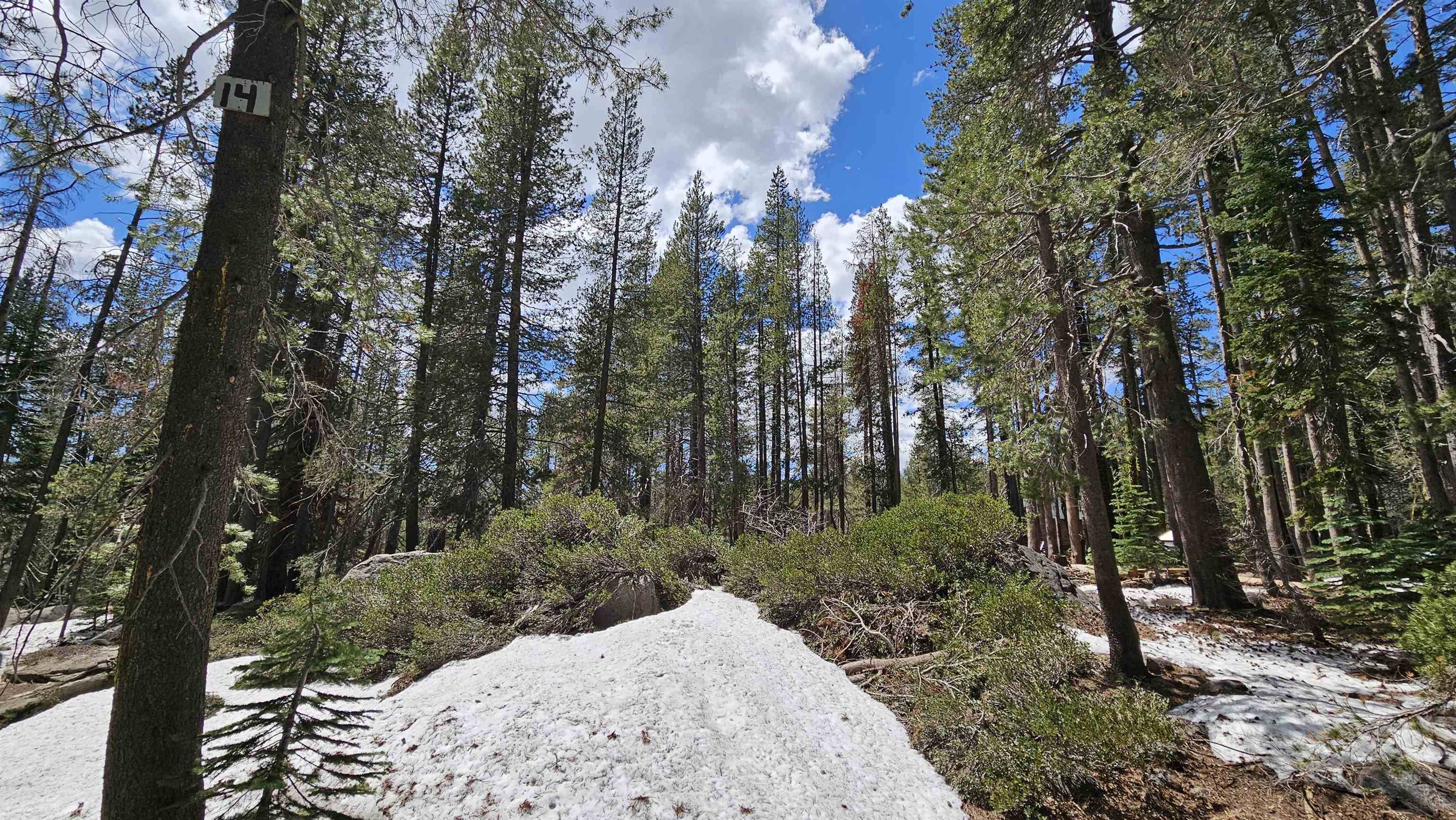 Soda Springs, CA 95728,10060 Bunny Hill Road