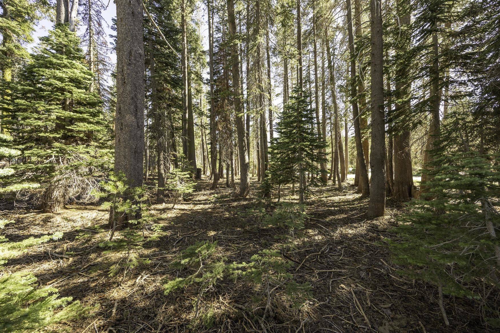 Soda Springs, CA 95728-0000,6636 Yuba Drive
